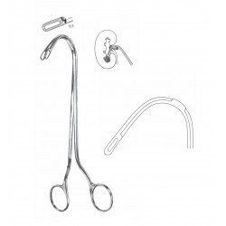 RANDALL KIDNEY FORCEP FIG-6, 22CM