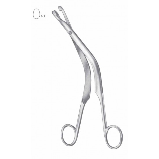 FAURE BIOPSY FORCEP 23CM