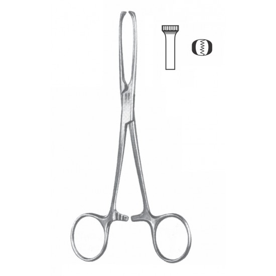 ALLIS TISSUE FORCEP 5X6 TEETH 25CM