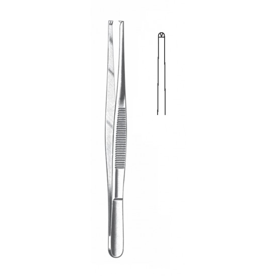 TISSUE FORCEP 1X2 TEETH 13CM