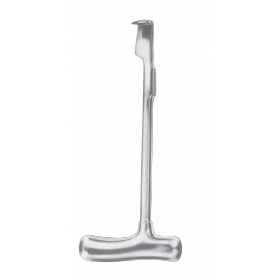 LABSCHE BONE RASPATORY WITH SILVER HANDLE 24.5CM