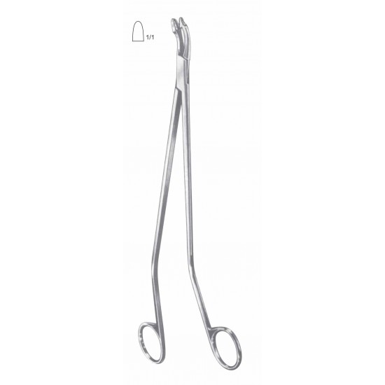 VAN DOREN BIOPSY FORCEP 28CM